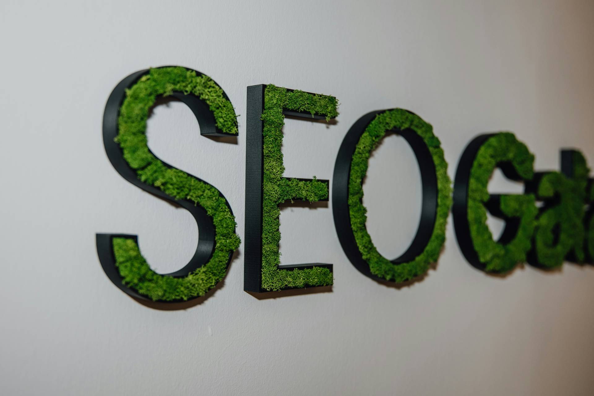 SEO Strategies to Rank in Today's AI-Powered Search